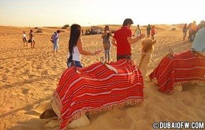 safari-desert-dubai