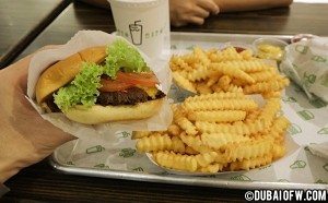 dubai-mall-shake-shack-restaurant