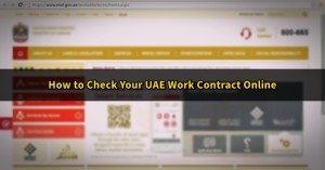 Ministry of Labour work contract online