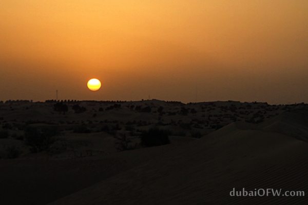 dubai desert