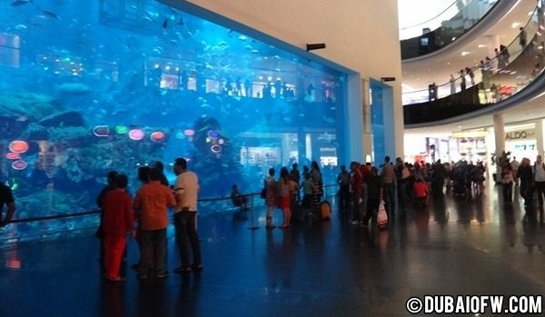 dubai mall aquarium