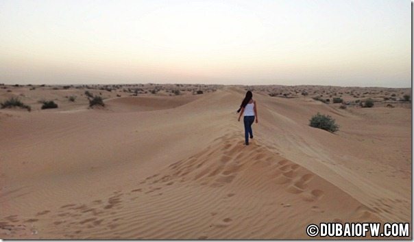 dubai desert safari