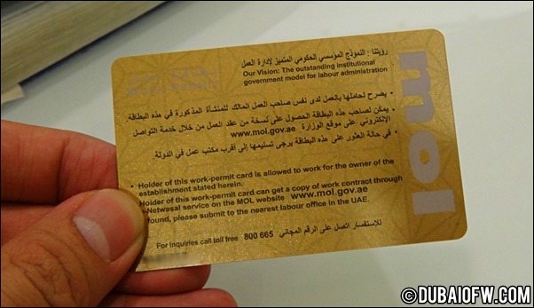 UAE ministry of labour card