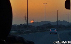 back-to-Dubai