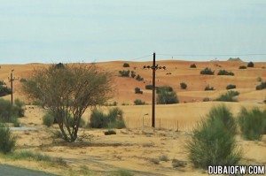 desert-dubai.jpg