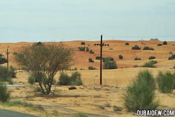 desert dubai