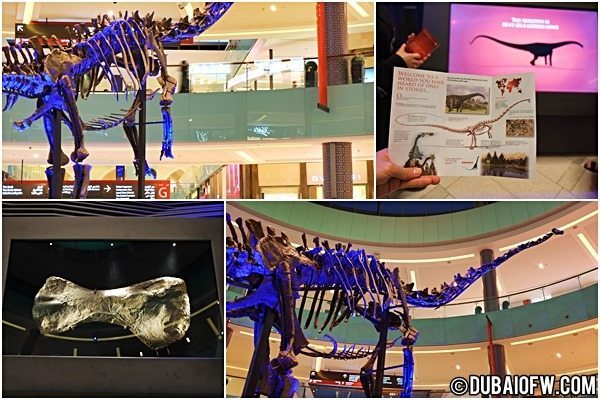 dinosaur living in dubai mall