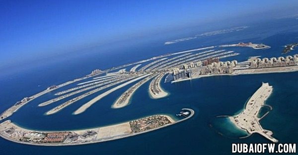 palm islands