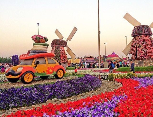 dubai-miracle-garden-al-barsha