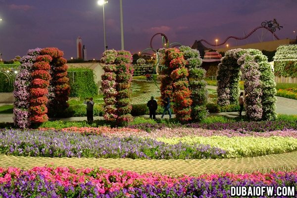 dubai miracle garden dubai