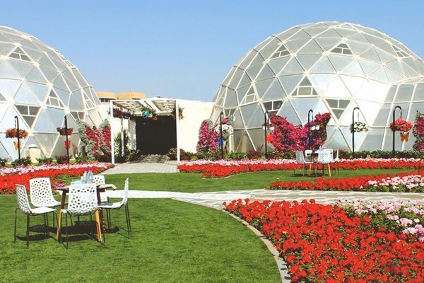 dubai butterfly garden dubailand