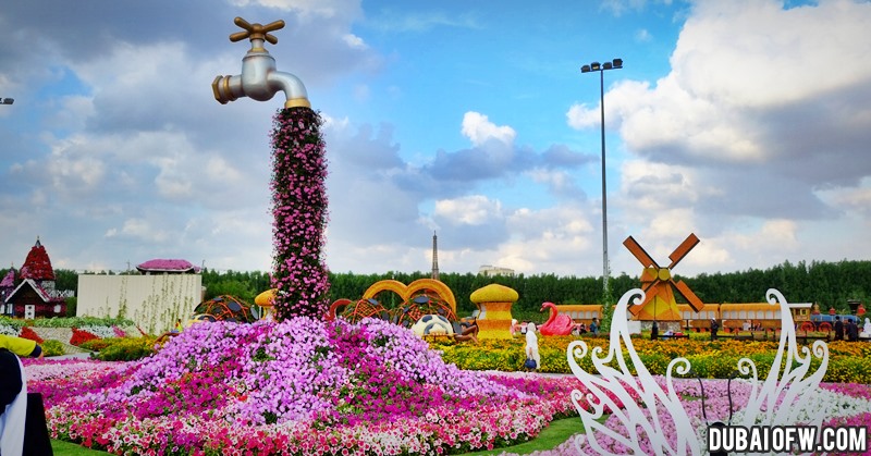Cheapest Way To Dubai Miracle Garden Dubai Ofw