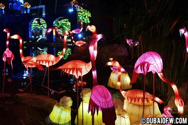 flamingos in dubai garden glow