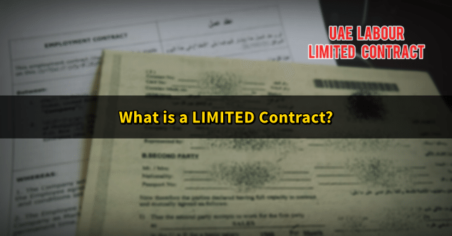 UAE Limited contract- labour law