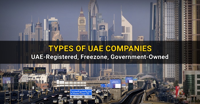 types of uae companies