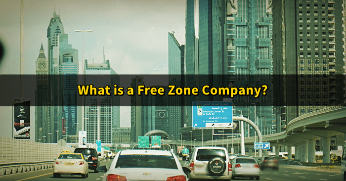 understanding freezone companies