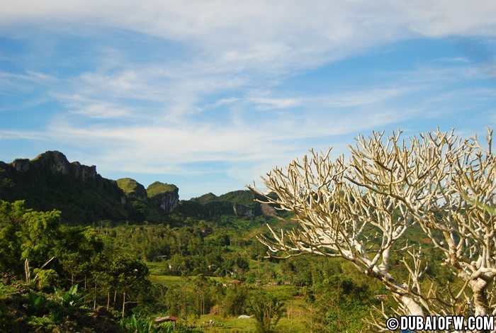 cebu osmena peak dalaguete