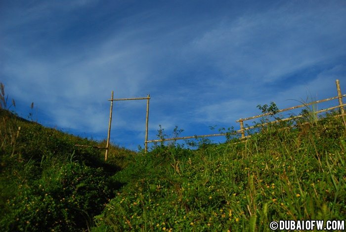 osmena peak cebu