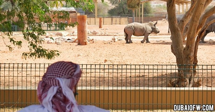 safari al ain zoo