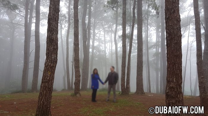 fog at camp john hay