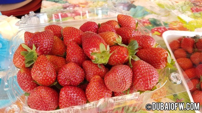 fresh strawberries from baguio