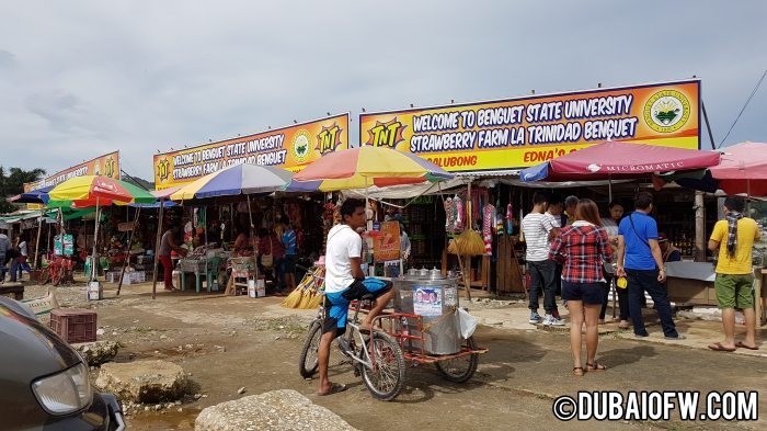 la trinidad benguet farmers market