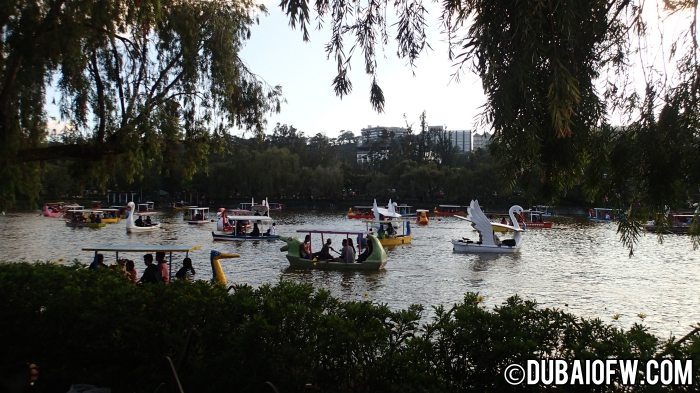 lake at burnham park in baguio city