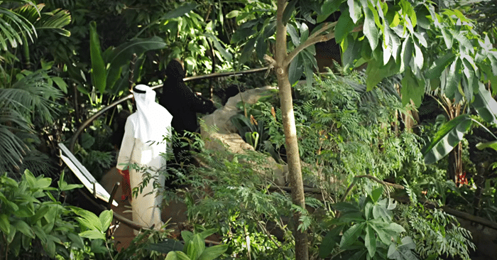 green-planet-dubai-rainforest