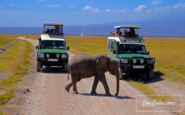 kenya-elephant-filipino