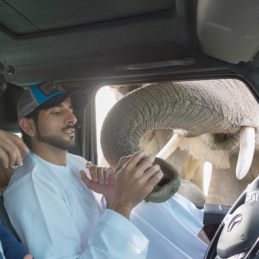 Sheikh Hamdan Elephant Greeting