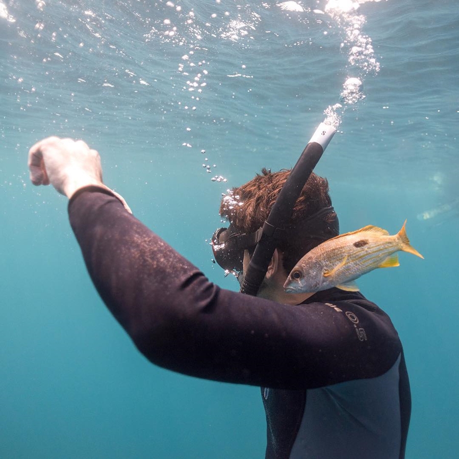 Sheikh Hamdan Fish Greet