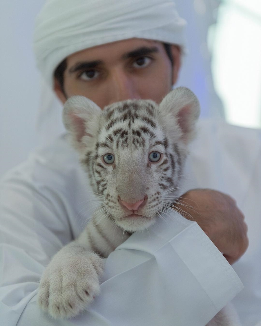 Sheikh Hamdan Furry Friend