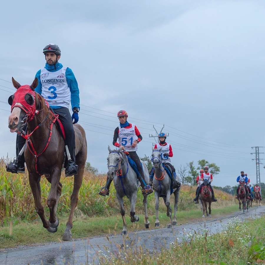 Sheikh Hamdan Horse Pack