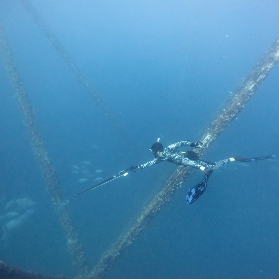 Sheikh Hamdan Spearfishing