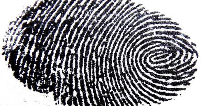 Your fingerprint authenticates your card