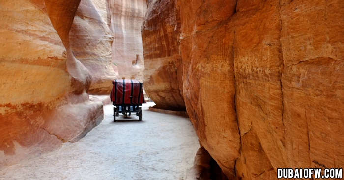 siq petra jordan