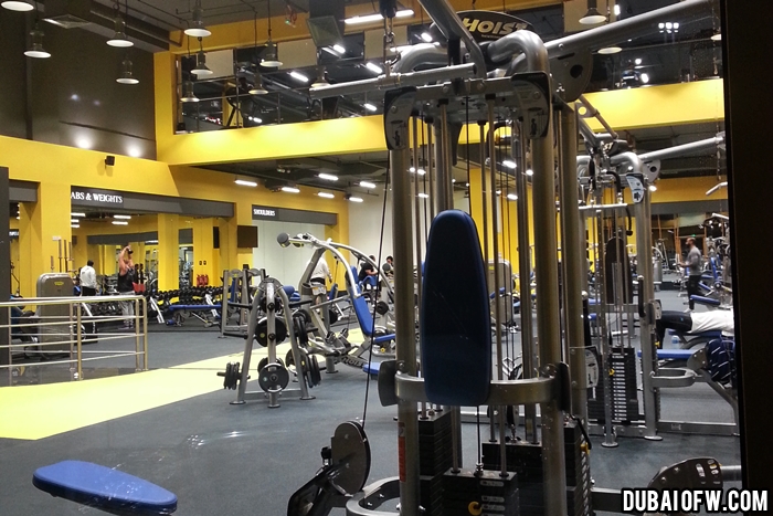 toronto body building gym sharjah