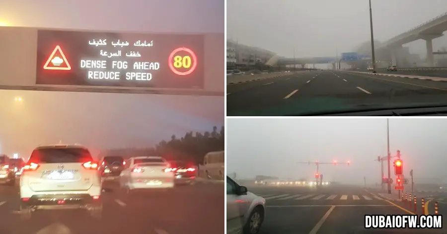 foggy weather road dubai