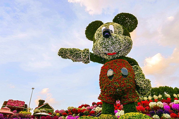 mickey mouse dubai miracle garden