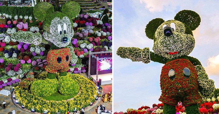 walt disney mickey mouse dubai miracle garden