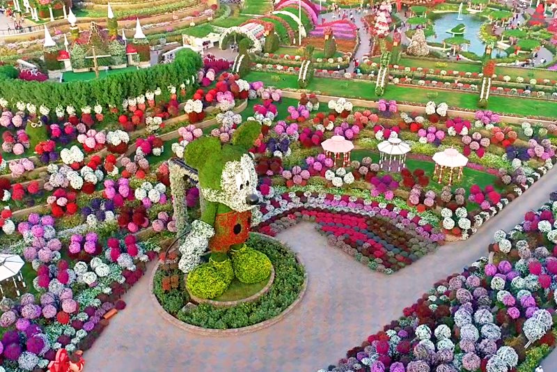 disney avenue flower garden