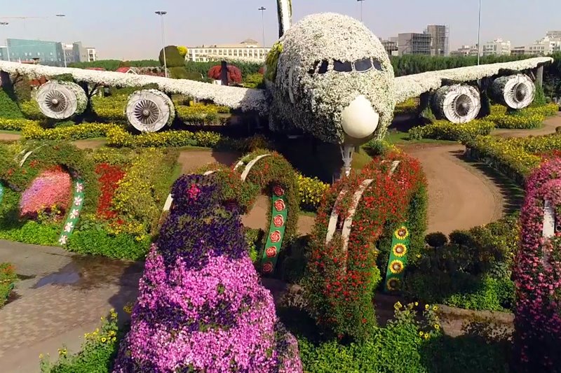 dubai flower garden a380 airplane