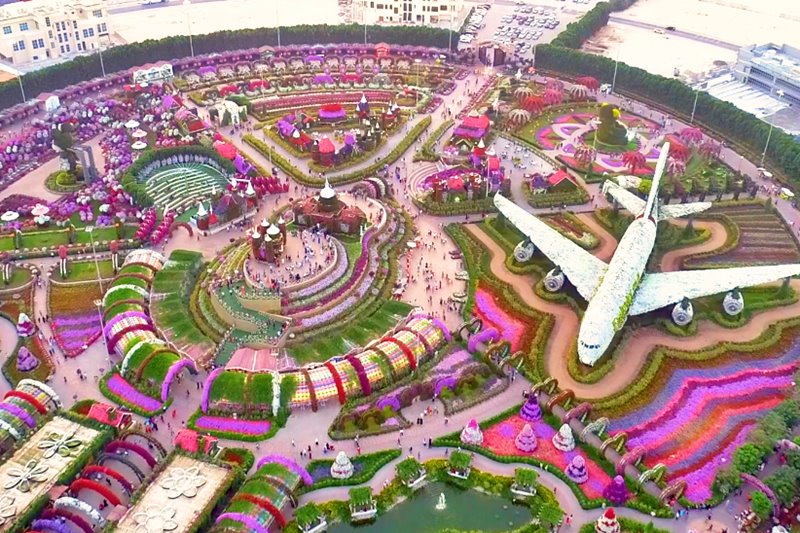 miracle garden dubai best pictures