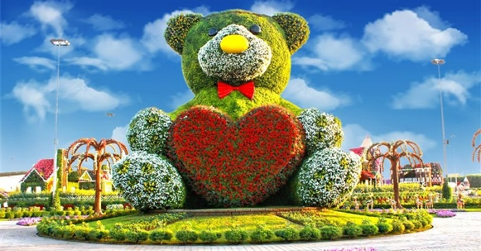 miracle-garden-teddy bear flower