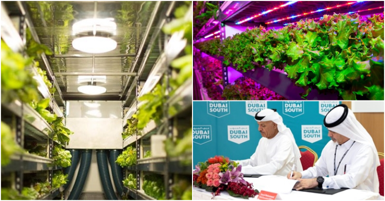 World S Largest Vertical Farm To Be Built In Dubai Dubai Ofw