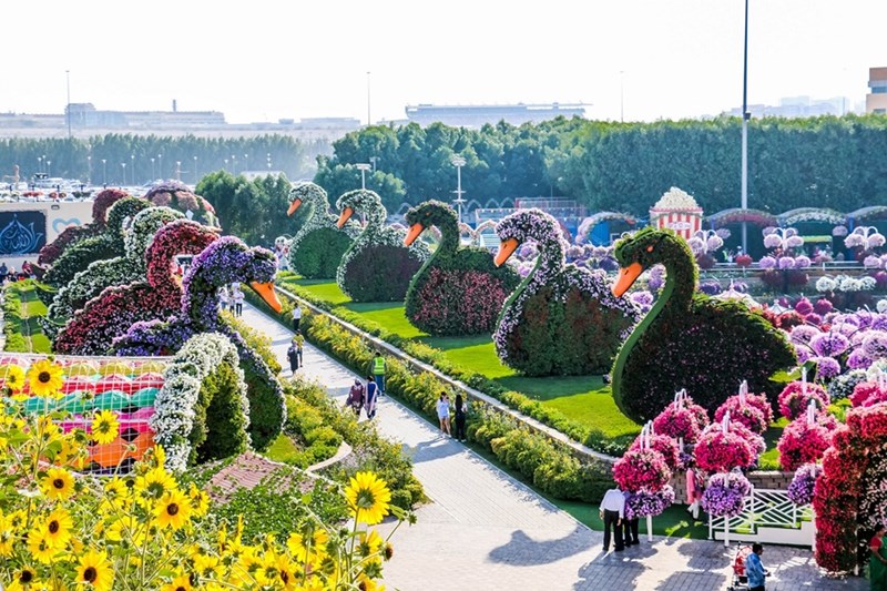 Dubai Miracle Garden photo