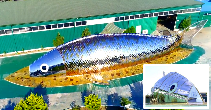 Foreign Firm to Build Giant Fish-shaped Building in Fujairah 1