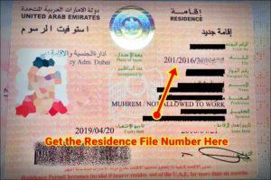 how to check the visa status validity online uae