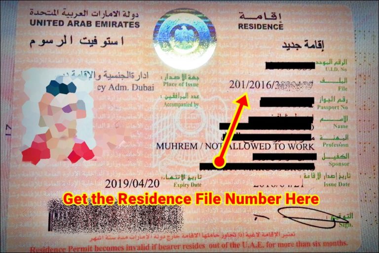 uae visit visa validity check online
