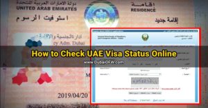 how to check uae visa status online